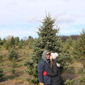 Gallery Photo 22