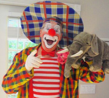 Toby Circus Ballantine - Clown - Sarasota, FL - Hero Main