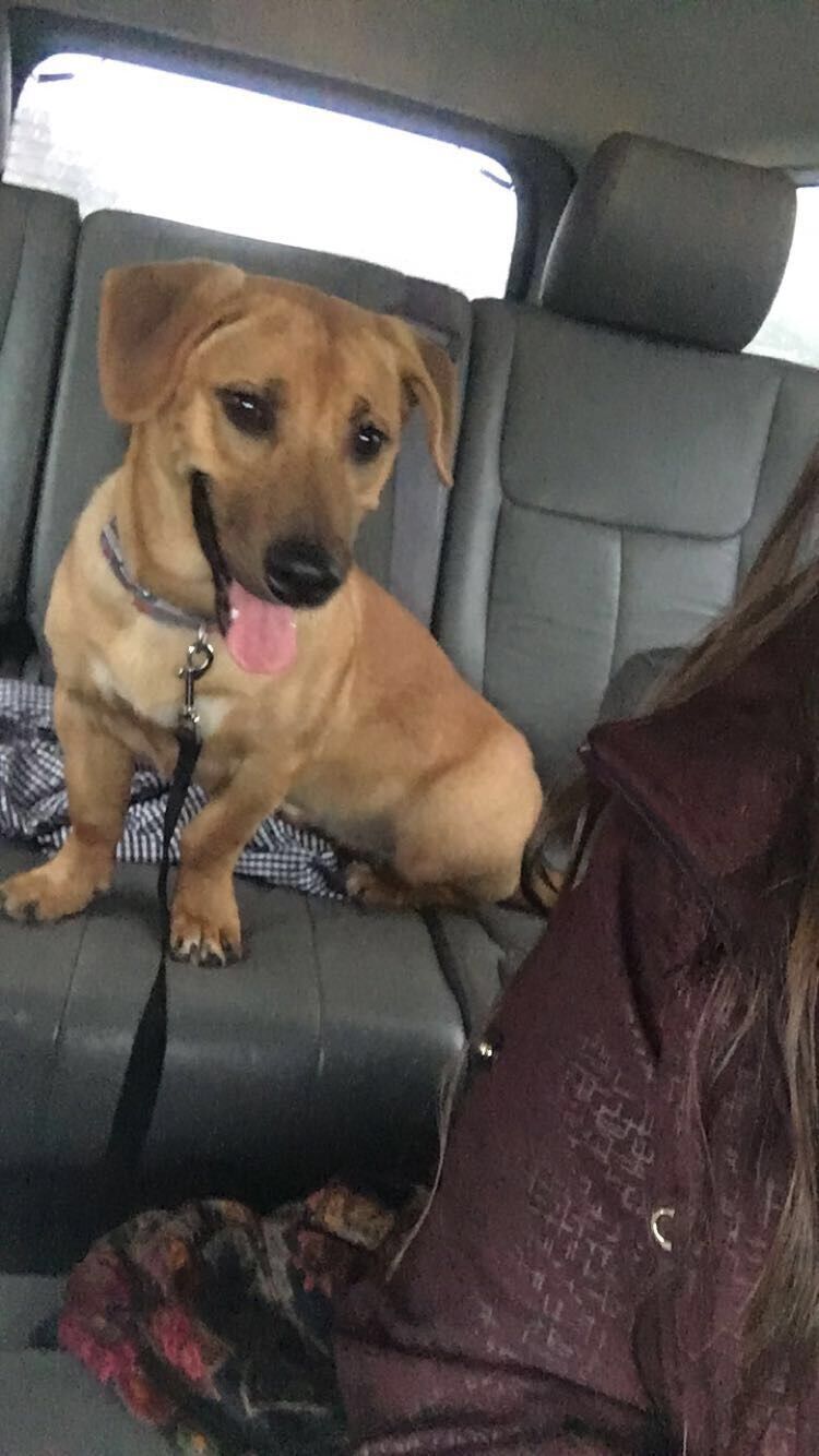 BIG time jump. Moved in together Oct, 2018, about 1 year 10months.  Adopted our bestie dog Hazel Mae, about 2 years.