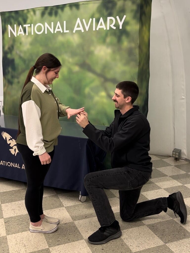 With the help of a special little penguin named Wyatt, we got engaged at The Aviary!