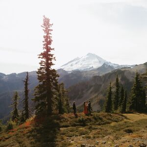 Gallery Photo 10