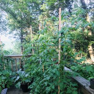 Gallery Photo 54