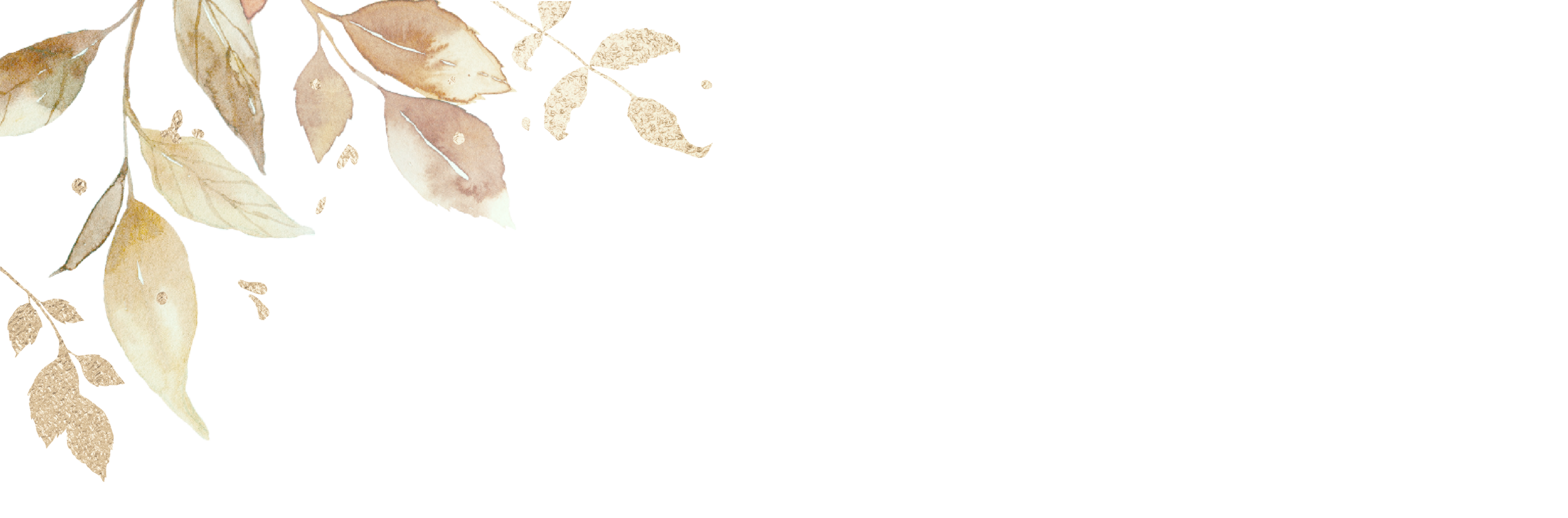 Top Theme Image