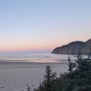 Gallery Photo 6