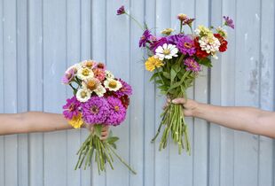Florist Rosemount: Buy Fresh Flowers And Get It Hand Delivered At Rosemount  MN