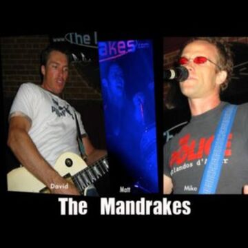 The Mandrakes - Cover Band - Huntington Beach, CA - Hero Main