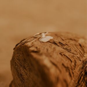 Gallery Photo 1