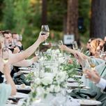 guests toasting with wine and champagne glasses at long table