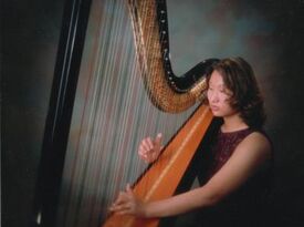 Sarah Thompson - Harpist - Chicago, IL - Hero Gallery 4