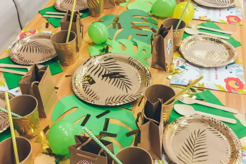 Tableware safari themed birthday party idea