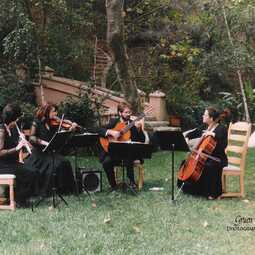 La Folia Chamber Ensemble, profile image
