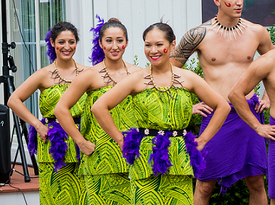 Aloha Island Revue - Hawaiian Dancer - Alexandria, VA - Hero Gallery 3