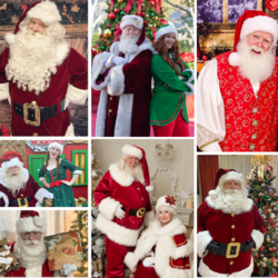 The Pure Imagination Santa Co., profile image