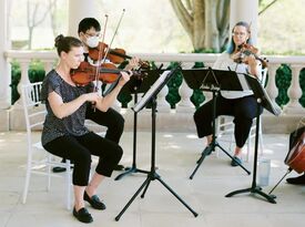 Atoka String Quartet - String Quartet - Middleburg, VA - Hero Gallery 4