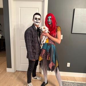 Gallery Photo 27