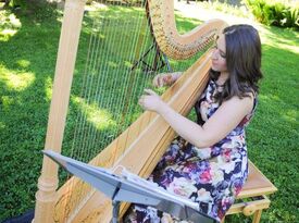 Elysia Román - Harpist - Poughkeepsie, NY - Hero Gallery 3