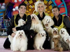 The Olate's Family Dogs - Circus Performer - Sorrento, FL - Hero Gallery 1