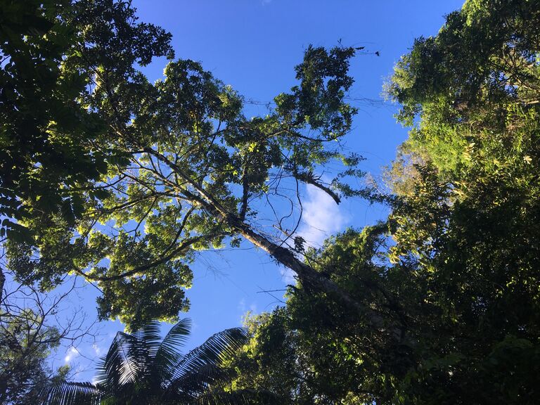 A weekend in February 2017, amongst dear friends in the jungle, we first met under this tree. We found ourselves in one of those conversations that lasted until the early hours of the morning. We exchanged numbers and promised to keep in touch. Little did we know this was the beginning of something beautiful. 