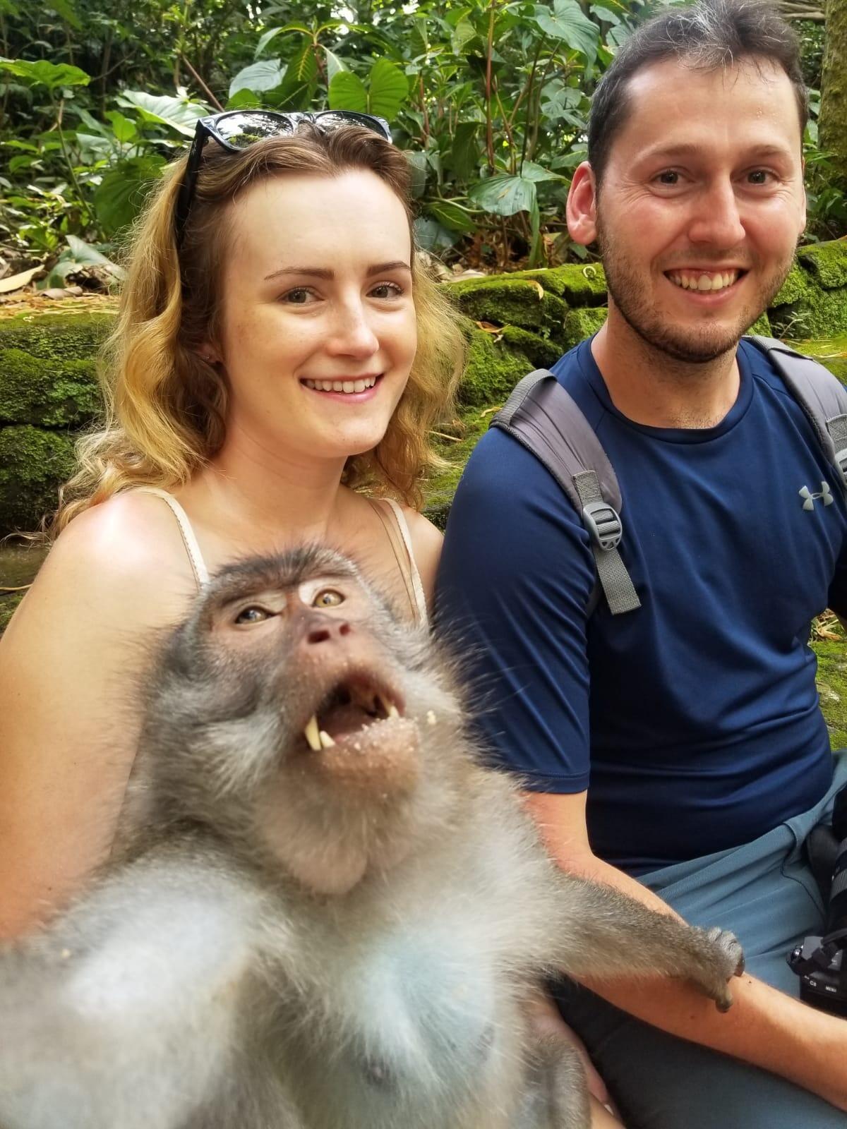 Almost got attacked by so many monkeys in Bali