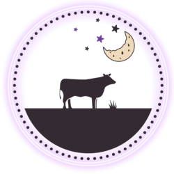 Moon Night Productions, profile image