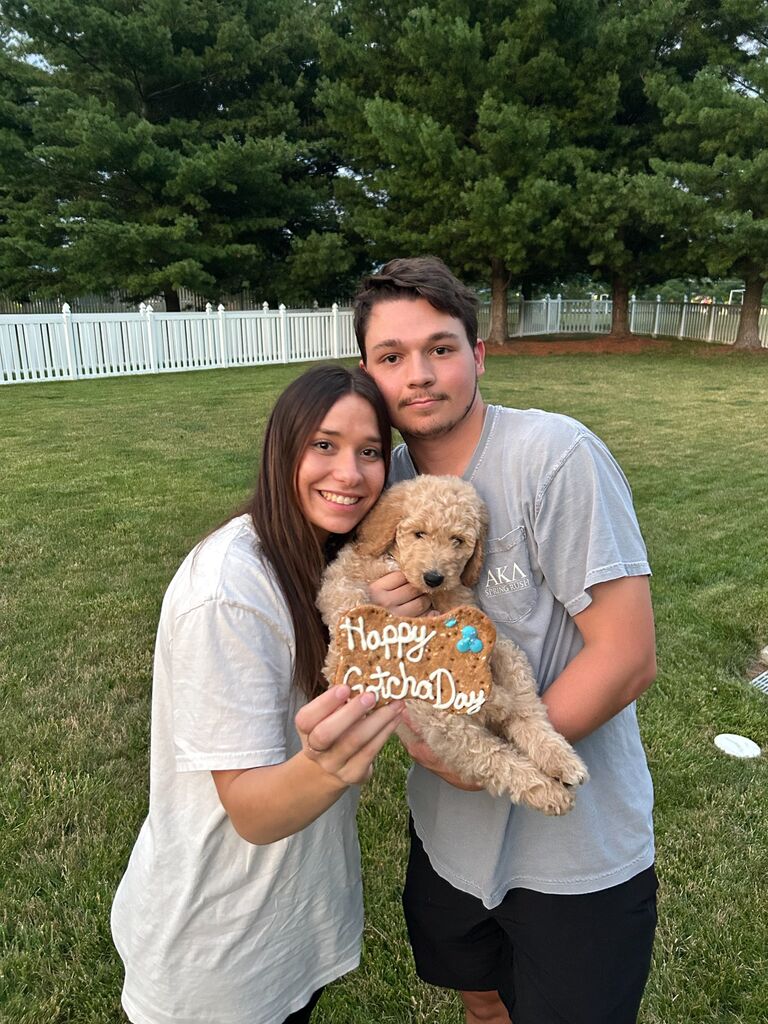 Got our fur baby - Zags!