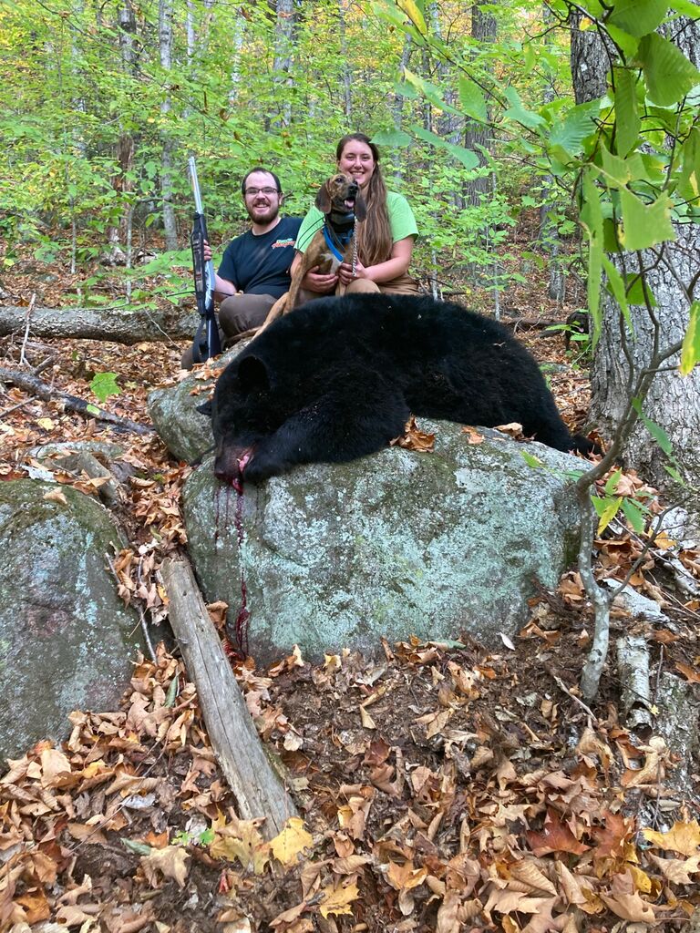 Luke's Maine black bear