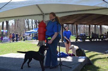 Robin's Dog Stars Dog Trick Act - Animal For A Party - Lake Villa, IL - Hero Main