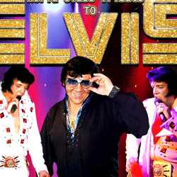 Michael O Ultimate Elvis/Patsy/Priscilla, profile image