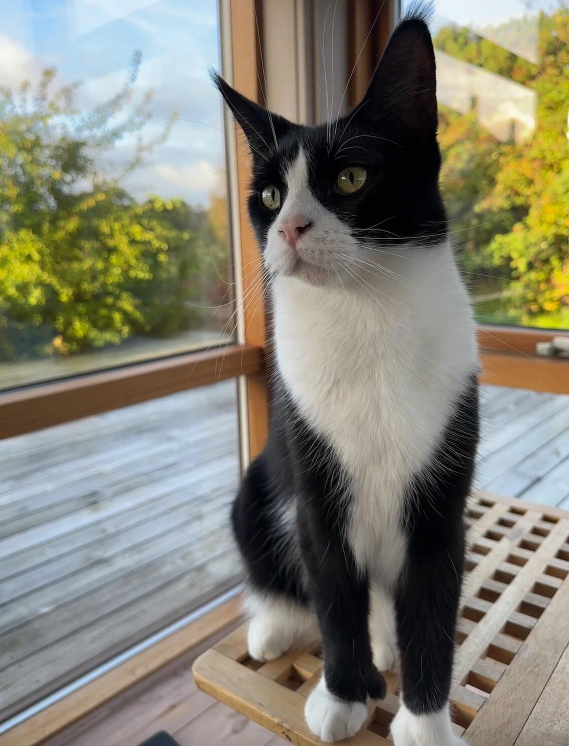 Lilli, Efterårsferie på Sjællands Odde.