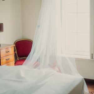 Gallery Photo 181