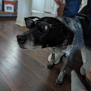 Gallery Photo 161