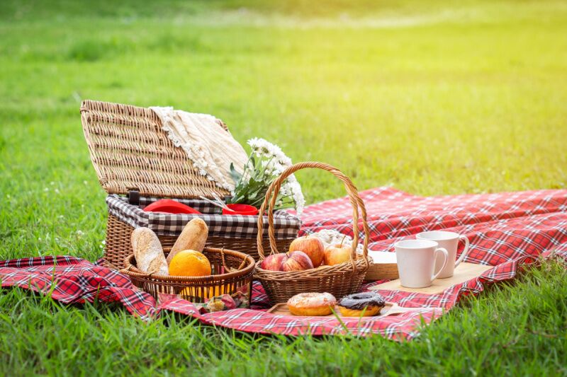 Picnic - Summer Birthday Party Ideas for Kids and Adults