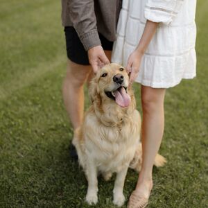 Gallery Photo 22