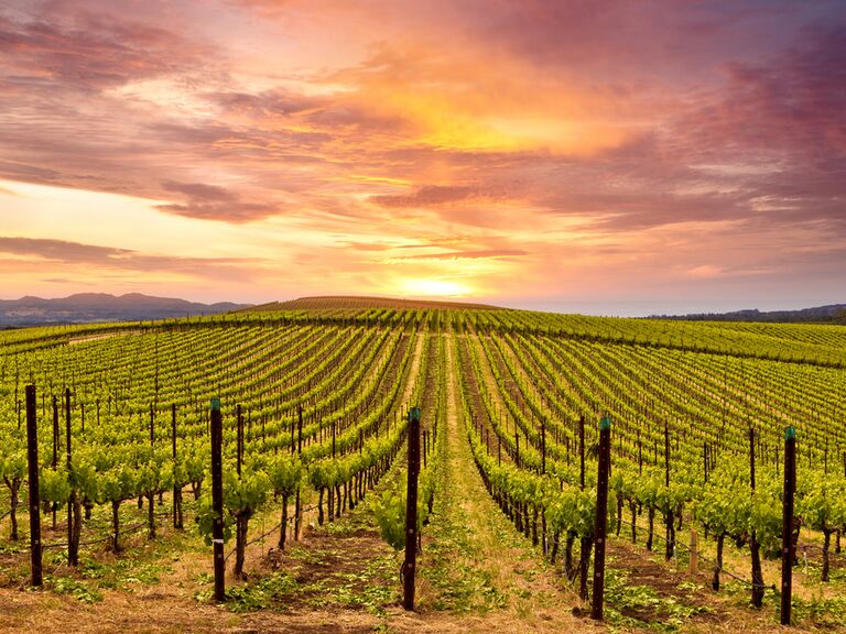 The sun sets over the vineyards in Napa Valley, California