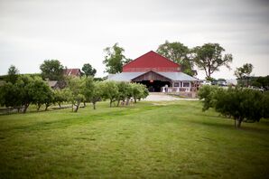 Kelly And Michael At Weston Red Barn Farm