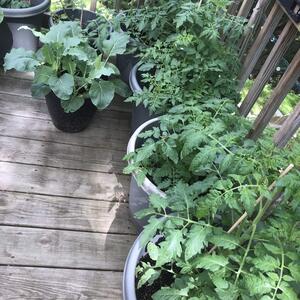 Gallery Photo 44