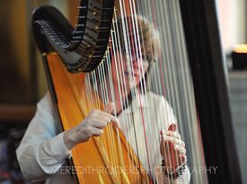 Beth Paré Sherwood, Harpist - Harpist - South Bend, IN - Hero Gallery 2