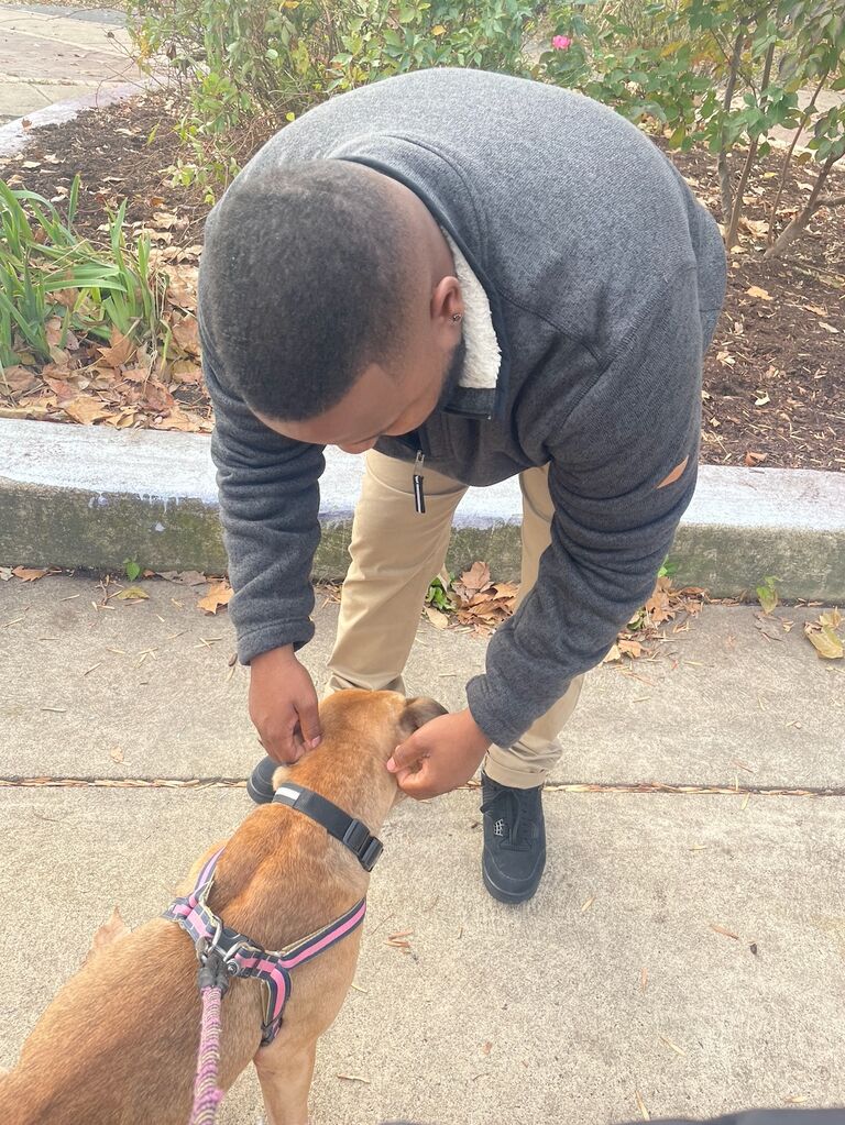 Meeting Basil for the first time
