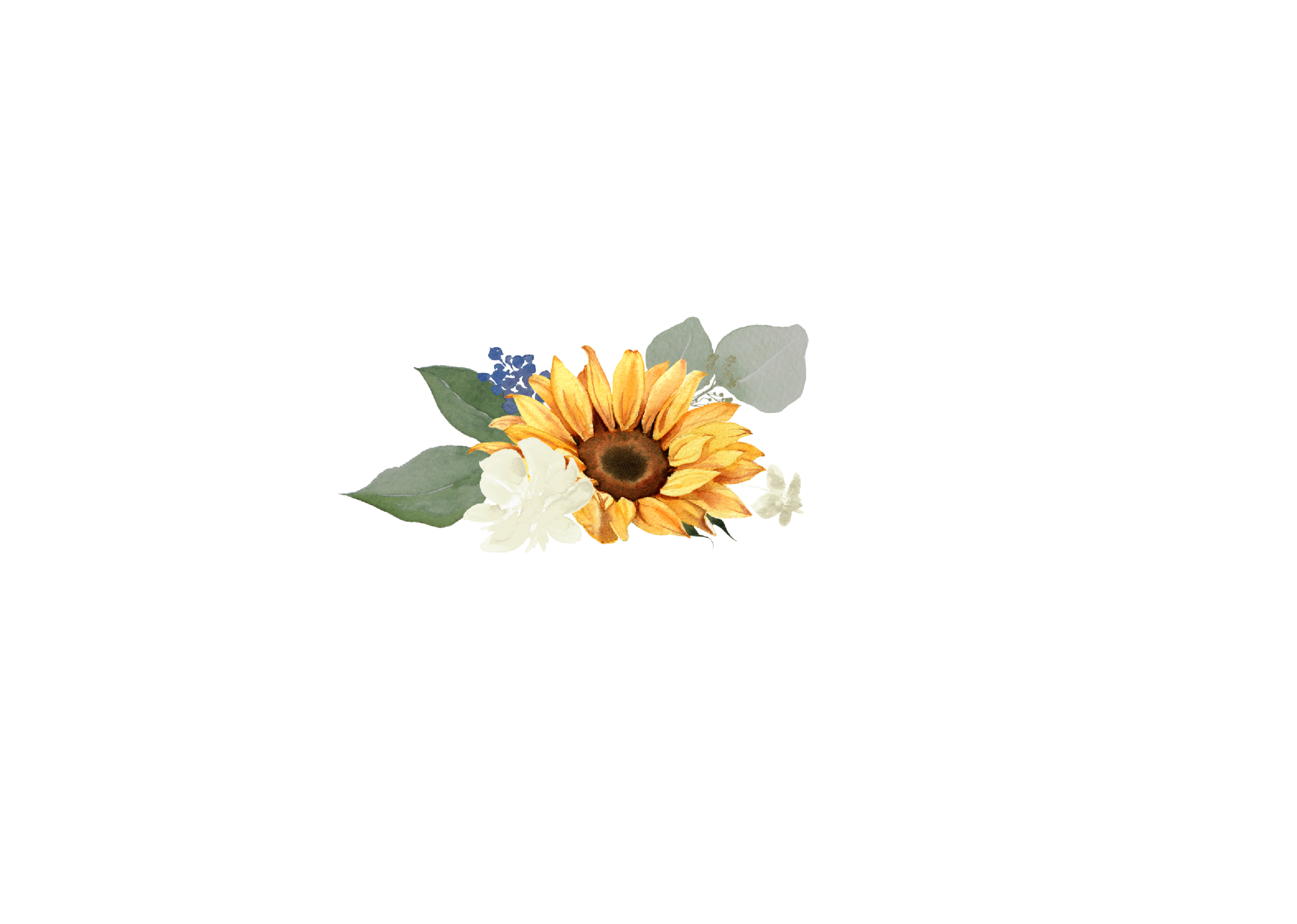 Top Theme Image