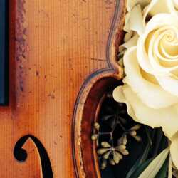 Solo Violin with Pam, profile image