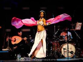 KDC Entertainment - Belly Dancer - New Castle, DE - Hero Gallery 3