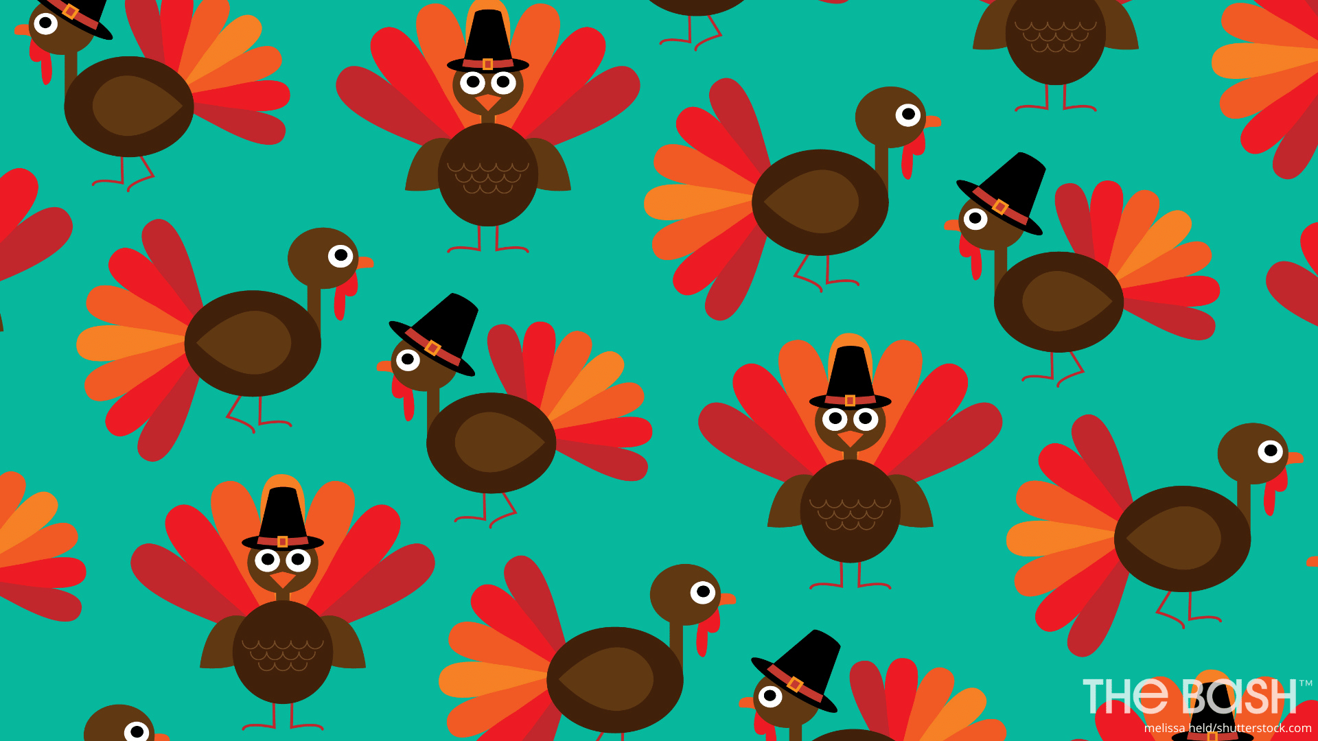 turkey thanksgiving wallpaper