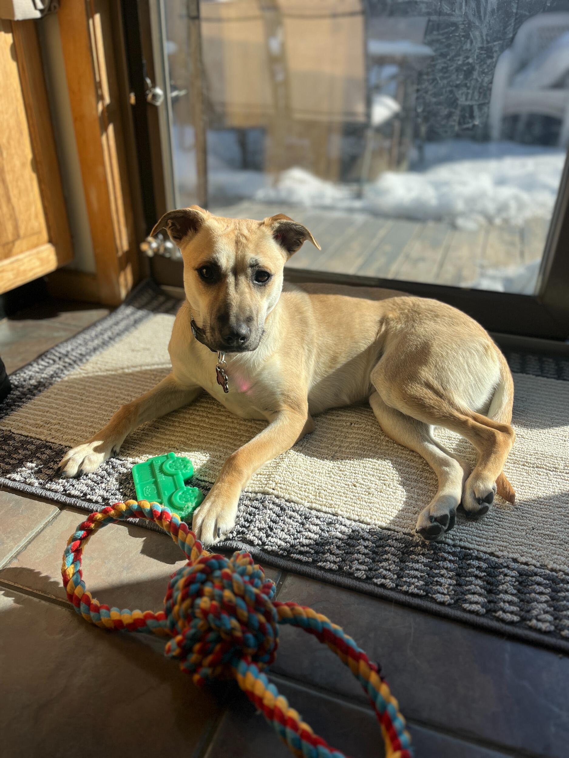 Welcome to the family Nala!