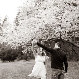 Gallery Photo 4