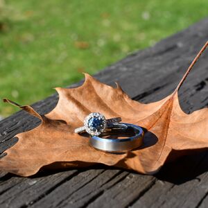 Gallery Photo 14