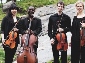 iconiQ Strings - String Quartet - New York City, NY - Hero Gallery 4