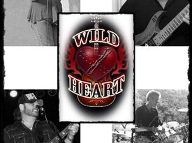 Wild Heart - Cover Band - Luther, OK - Hero Gallery 1