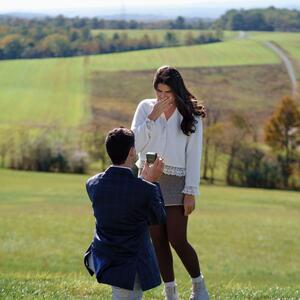 Gallery Photo 26