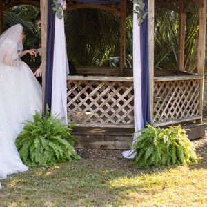 Gallery Photo 306