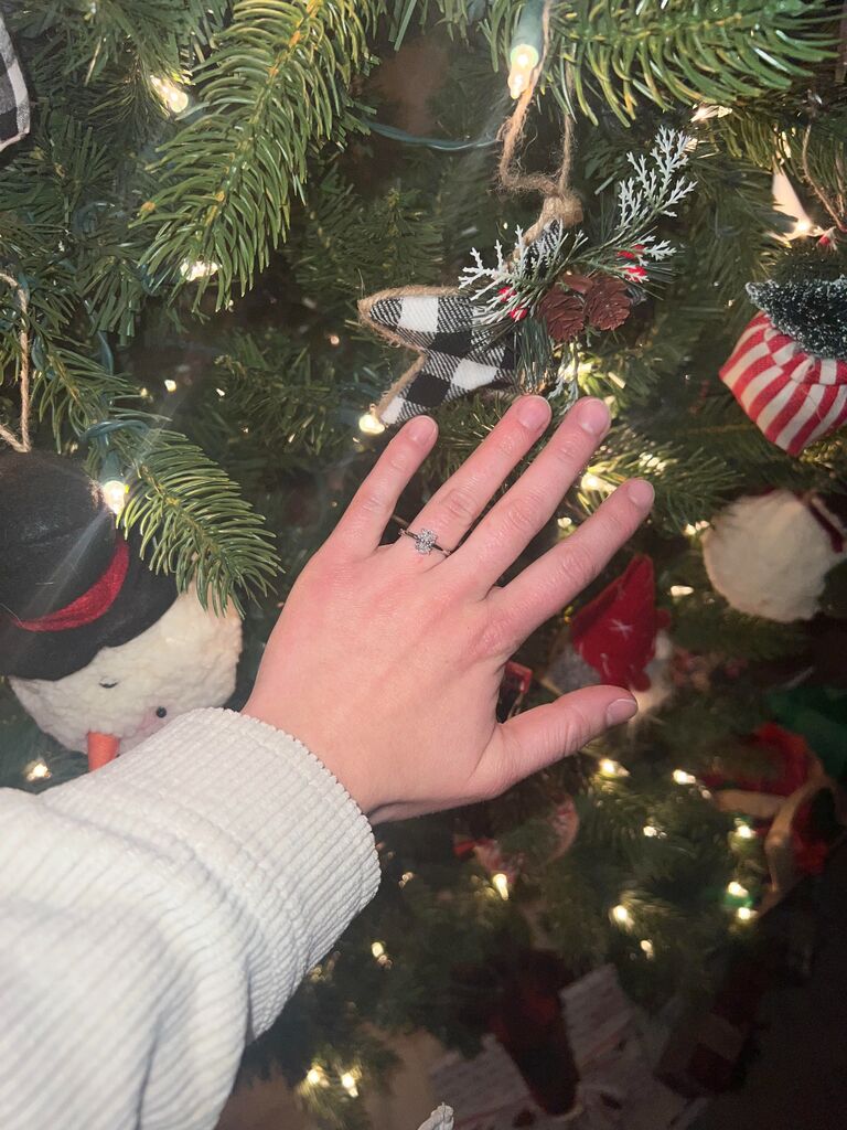 In the sweetest and most intimate setting, Michael asks the question and puts a ring on it!